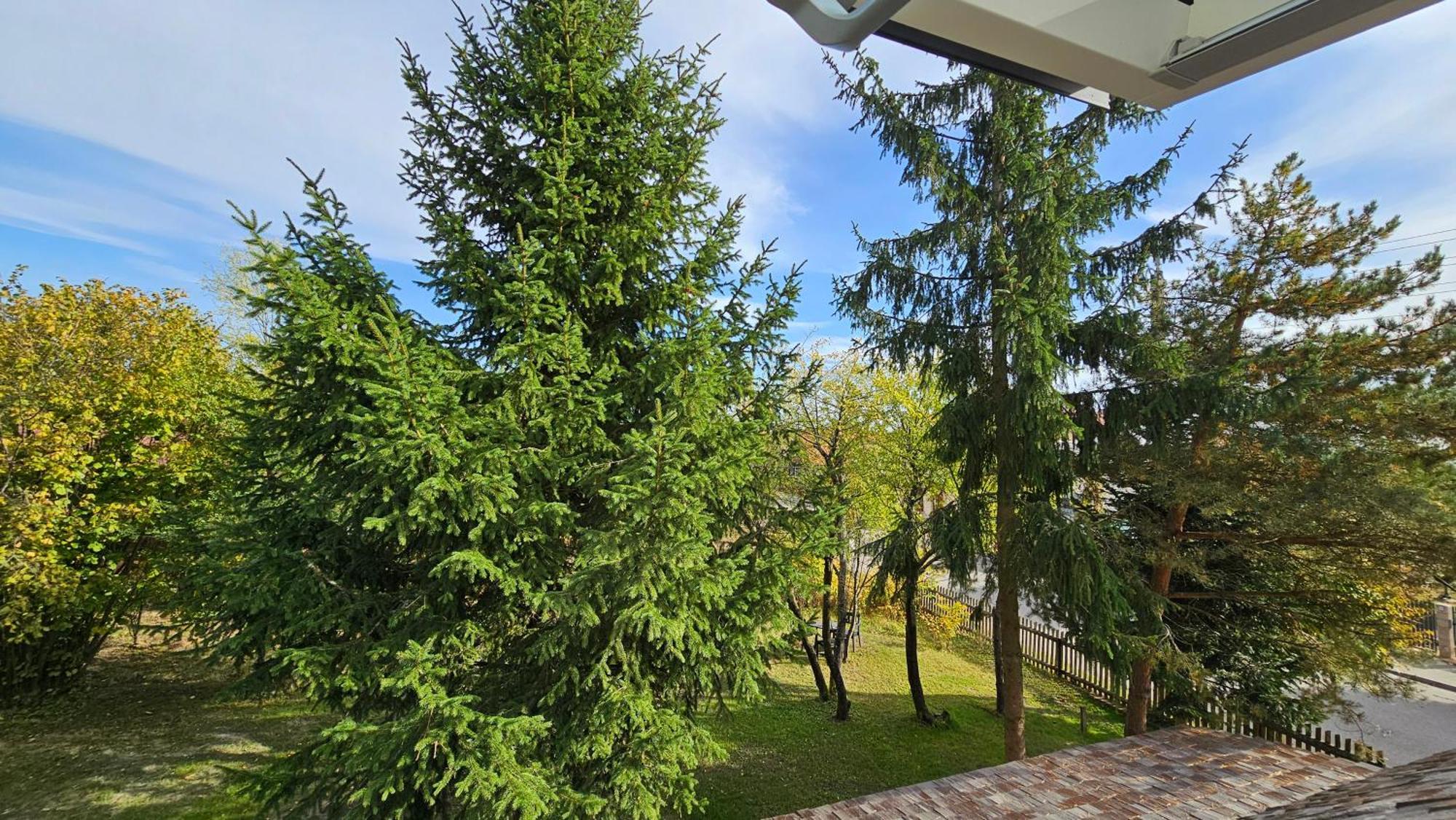 Stoczek 1929 Bed & Breakfast Bialowieza Luaran gambar